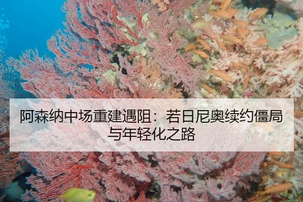 a-sen-na-zhong-chang-chong-jian-yu-zu-ruo-ri-ni-ao-xu-yue-jiang-ju-yu-nian-qing-hua-zhi-lu-2-345.jpg