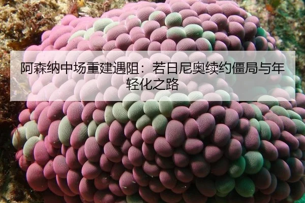 阿森纳中场重建遇阻：若日尼奥续约僵局与年轻化之路