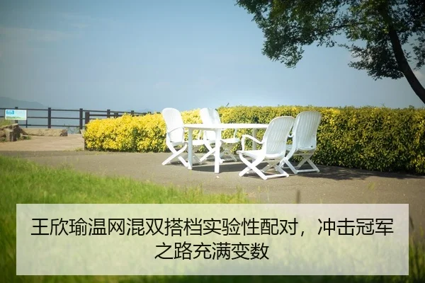 wang-xin-yu-wen-wang-hun-shuang-da-dang-shi-yan-xing-pei-dui-chong-ji-guan-jun-zhi-lu-chong-man-bian-shu-2-575.jpg